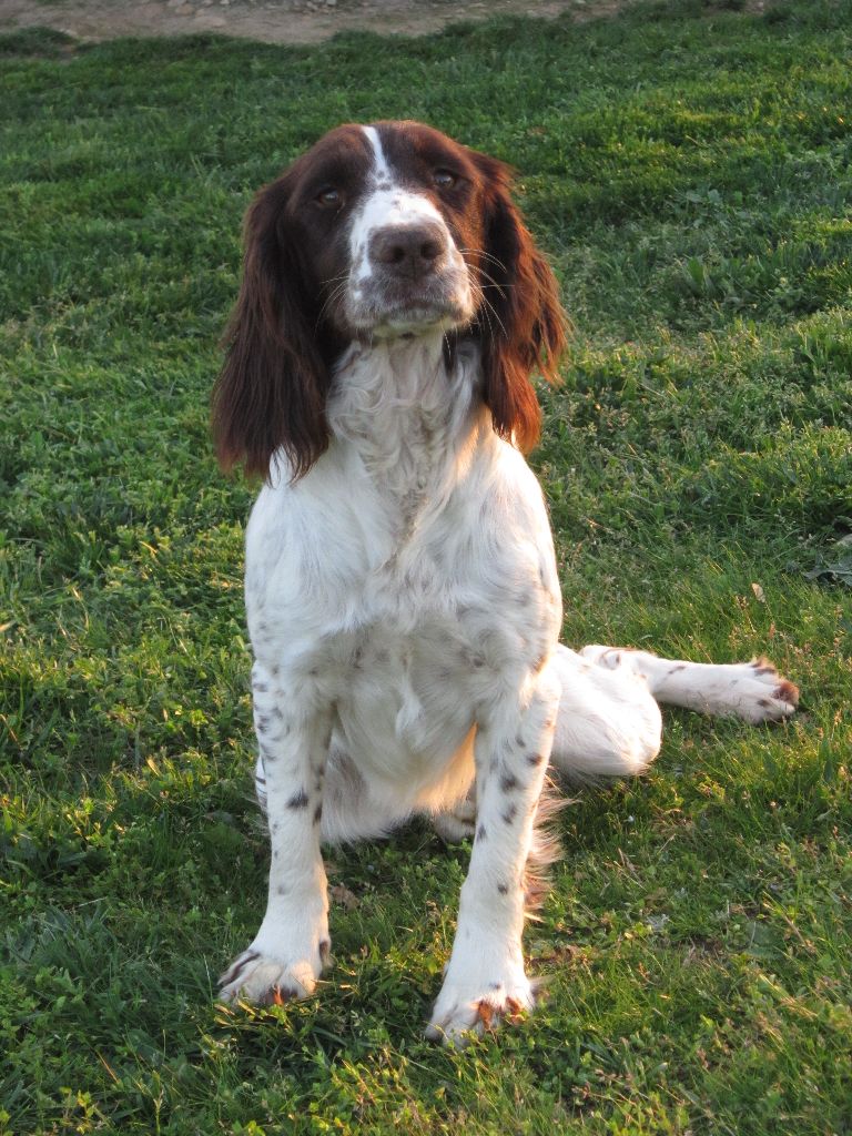 Lola De La Plaine Du Mailhol