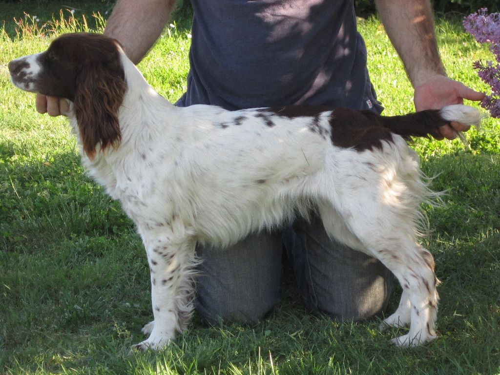 Lola De La Plaine Du Mailhol