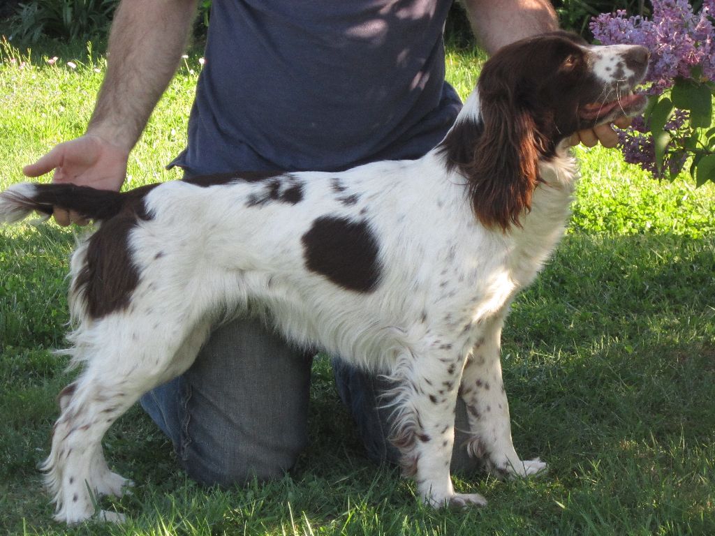 Lola De La Plaine Du Mailhol