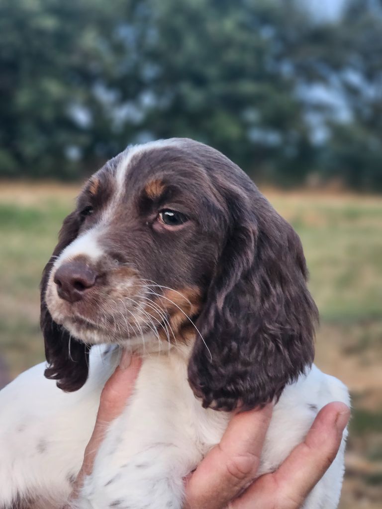 Astrid De La Plaine du Mailhol est disponible.